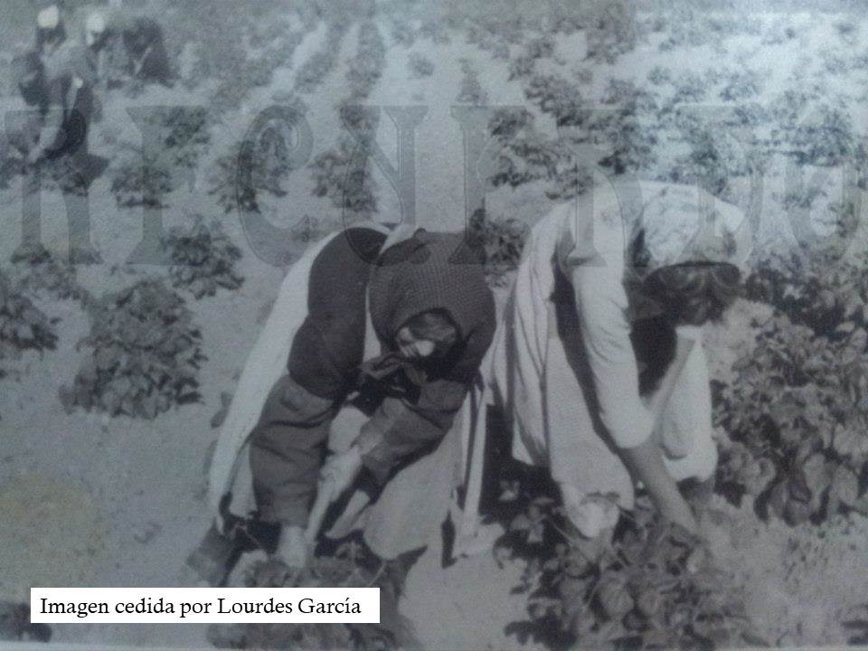 Fotografia antigua de las huertas de Laguna de Duero Valladolid cedida por Lourdes Garcia